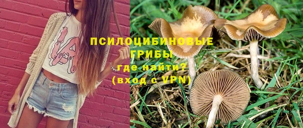 скорость Няндома