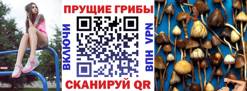 Псилоцибиновые грибы прущие грибы  Старый Крым 